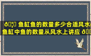 🦈 鱼缸鱼的数量多少合适风水(鱼缸中鱼的数量从风水上讲应 🐱 该是多少)